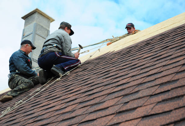 Best Storm Damage Roof Repair  in Naco, AZ